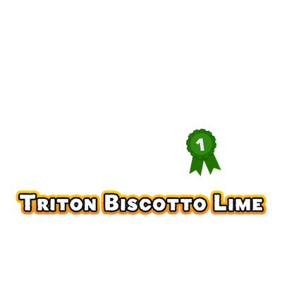 2023-triton-biscotto-lime-1-best-new-strain