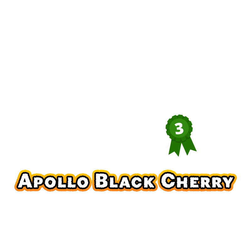 2023-apollo-black-cherry-3-best-dry-shift